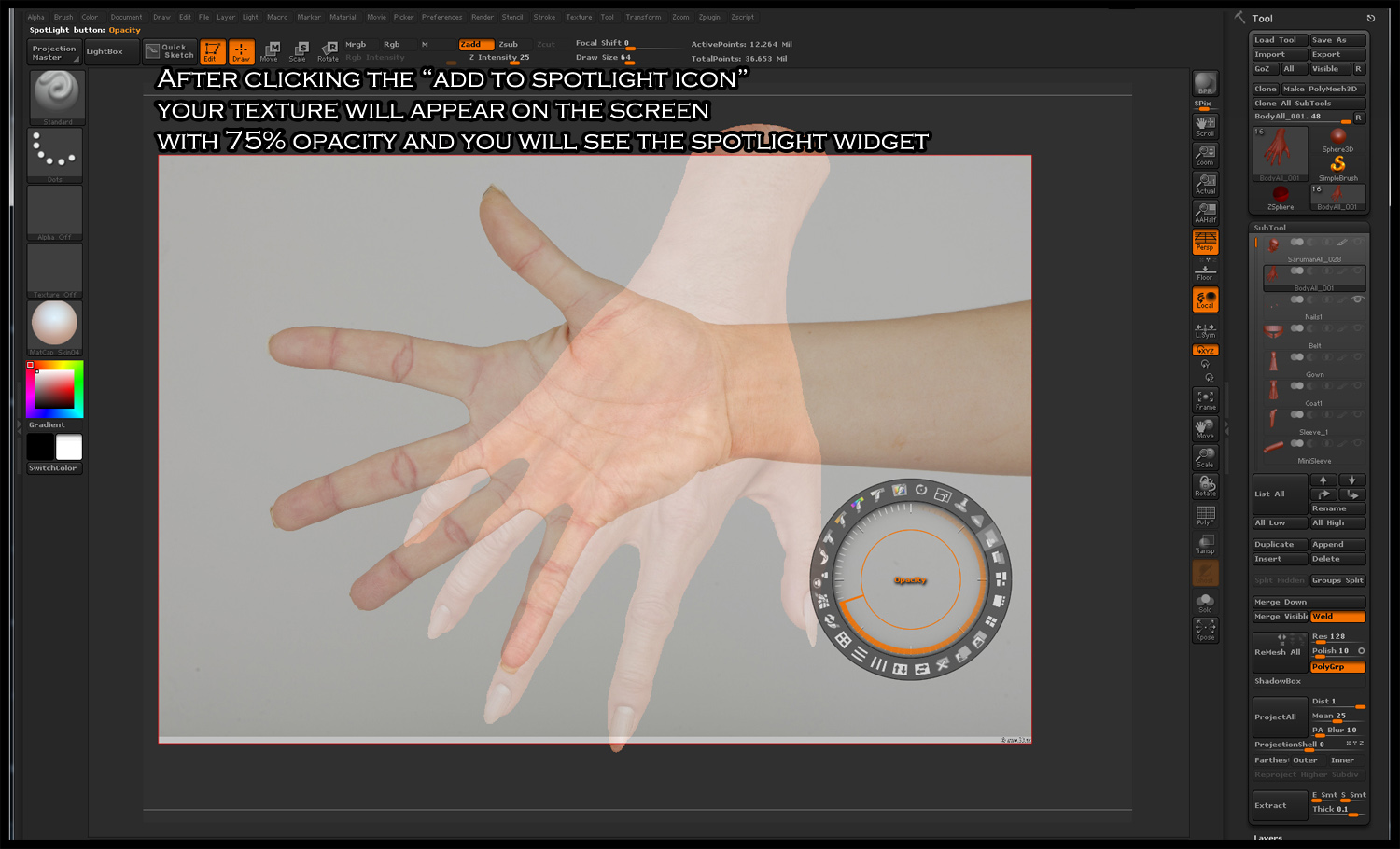 SpotLight_Tutorial02.jpg