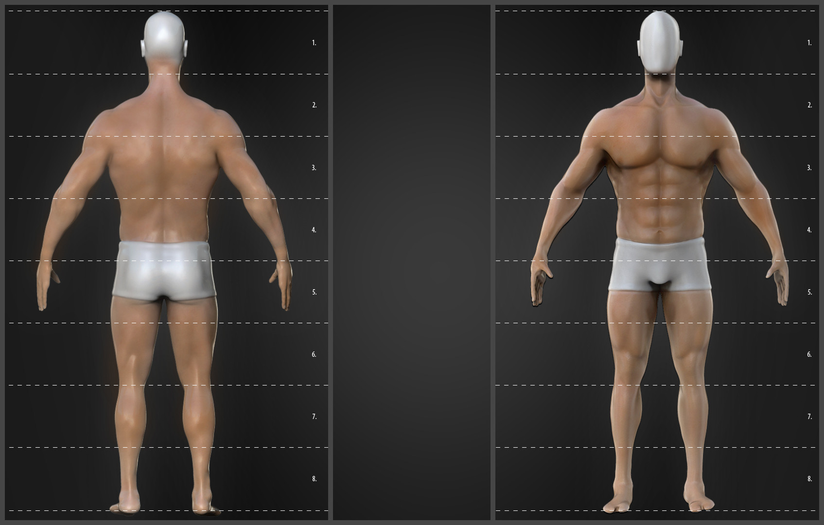 Proportion.jpg
