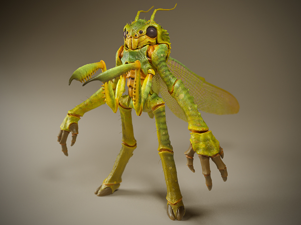 Bug_01.jpg