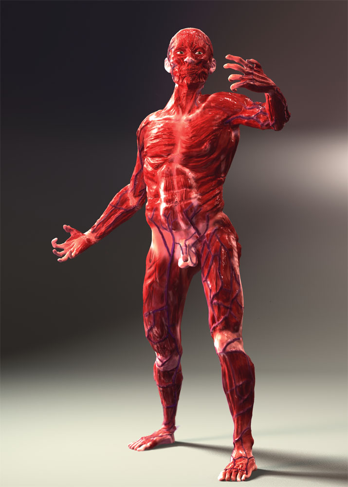anatomystudybeauty.jpg