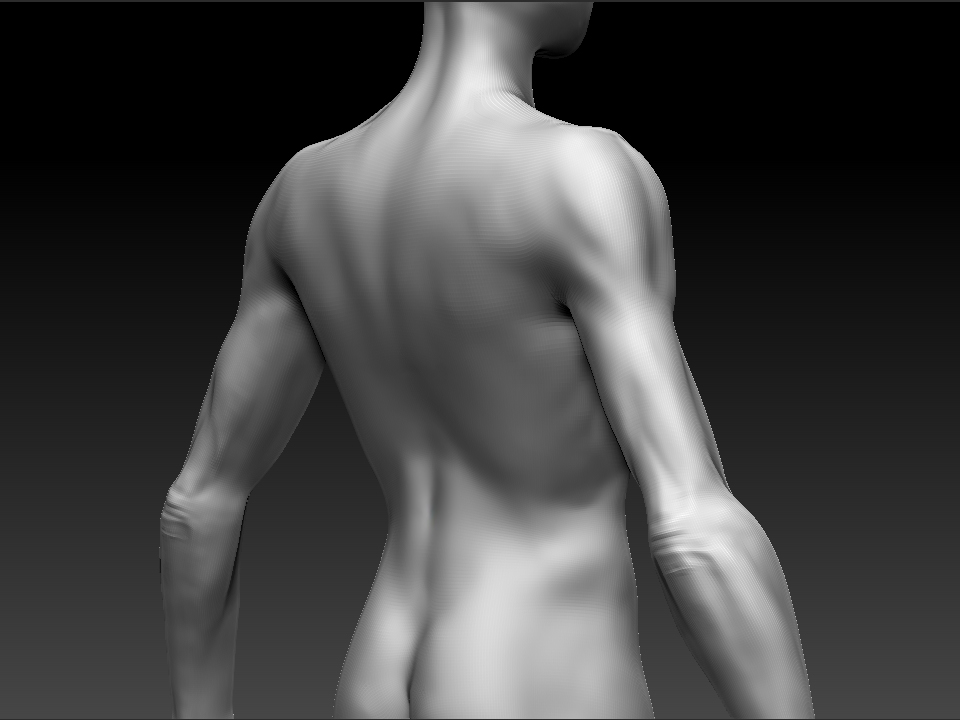 FINAL_BACK_DETAIL1.jpg