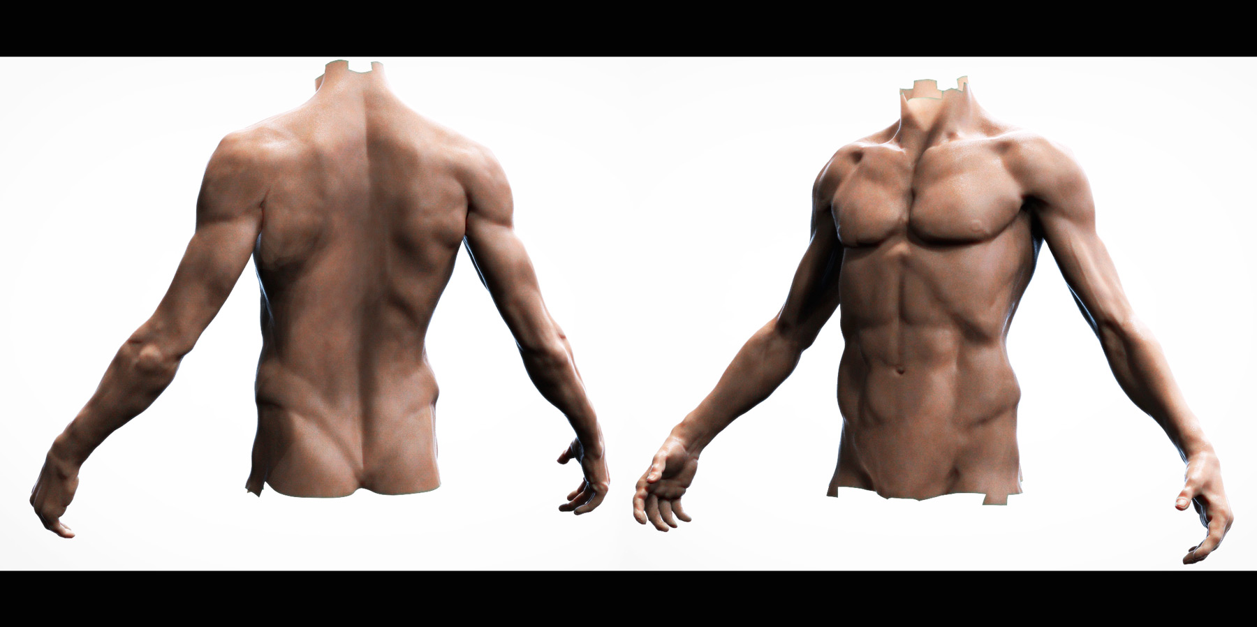 male1.jpg