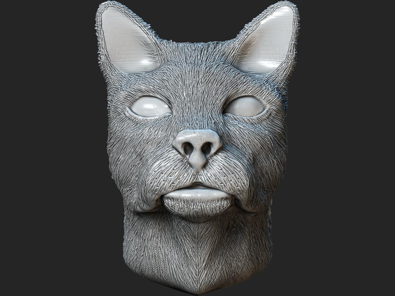 cat cavity fur 2.JPG