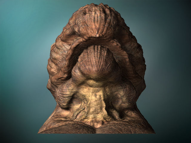 Turtleguy3.jpg