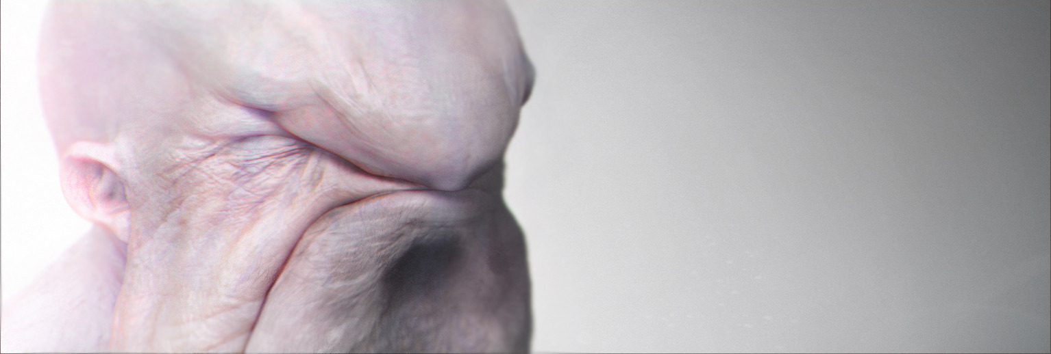 156_max.jpg
