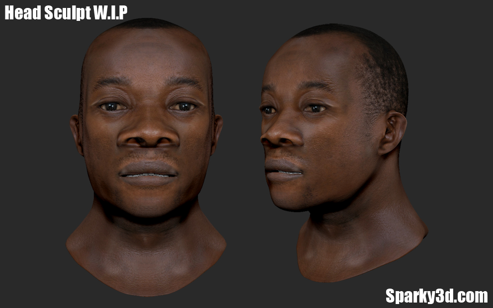 head_sculpt_wip_OS.jpg