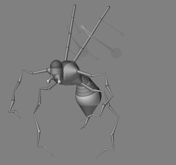 insect1.jpg