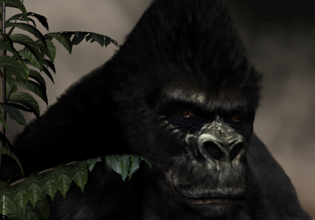 01_gorilla_render.jpg