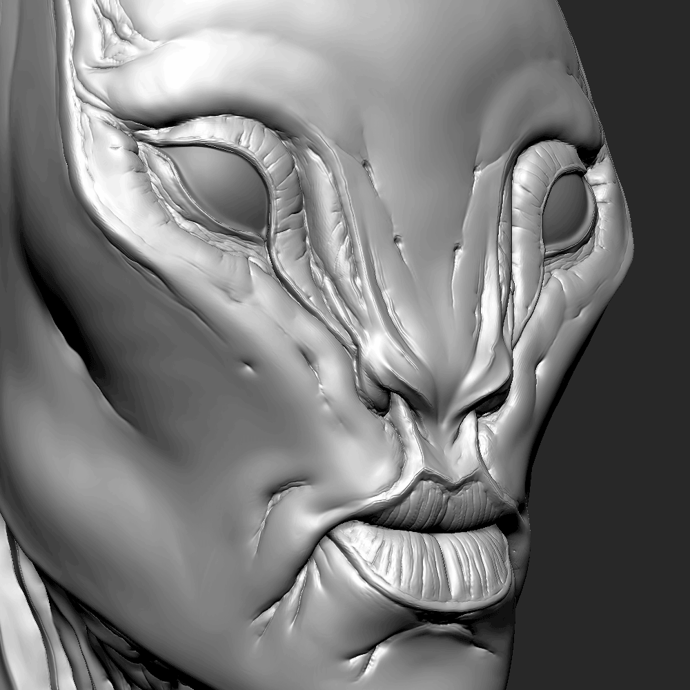 pores