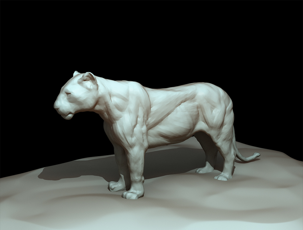 lion_xsi_01.jpg
