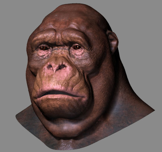 orangutan.jpg