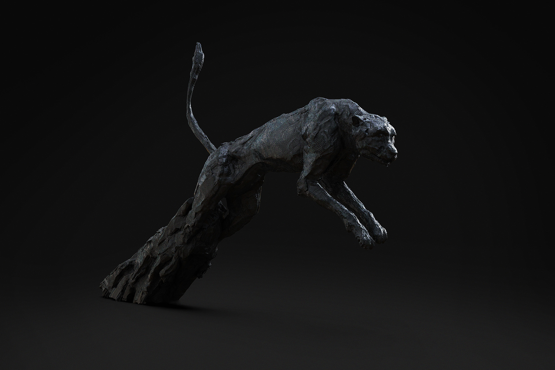 cheetahJumping_composite01_S.jpg