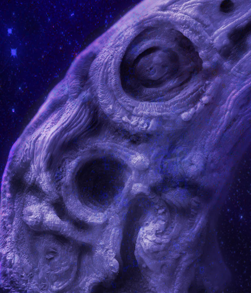 closeup2.jpg