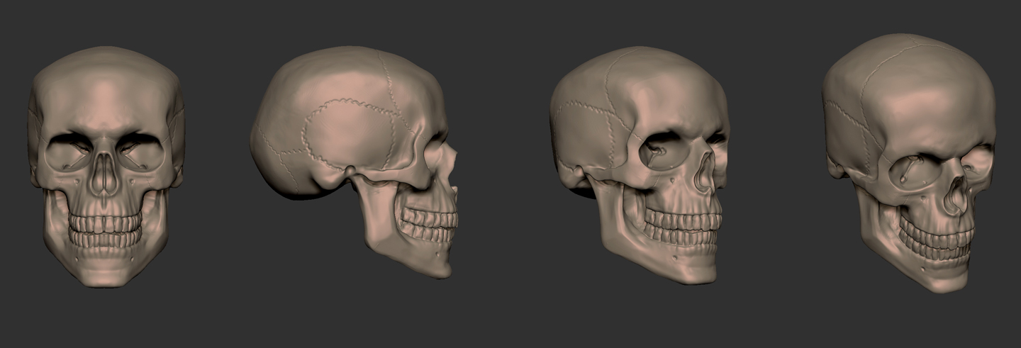 skull_02_res.jpg