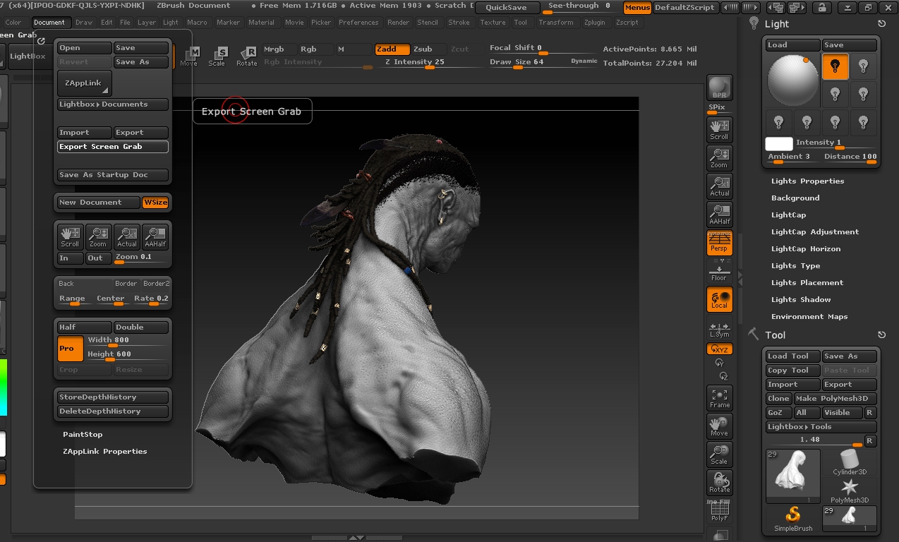 ZBrush ScreenGrab01.jpg