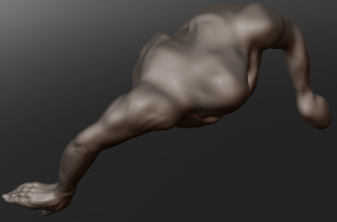 CLASSICAL TORSO 12.jpg