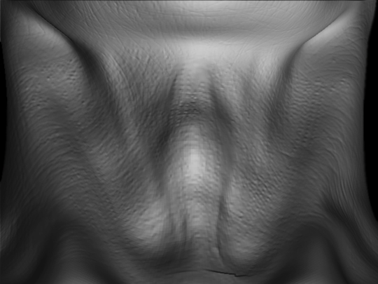 Faccia-Collo.jpg