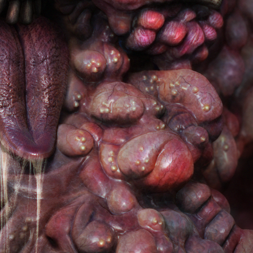 detail2