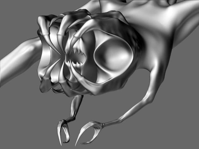 perspective face view.jpg