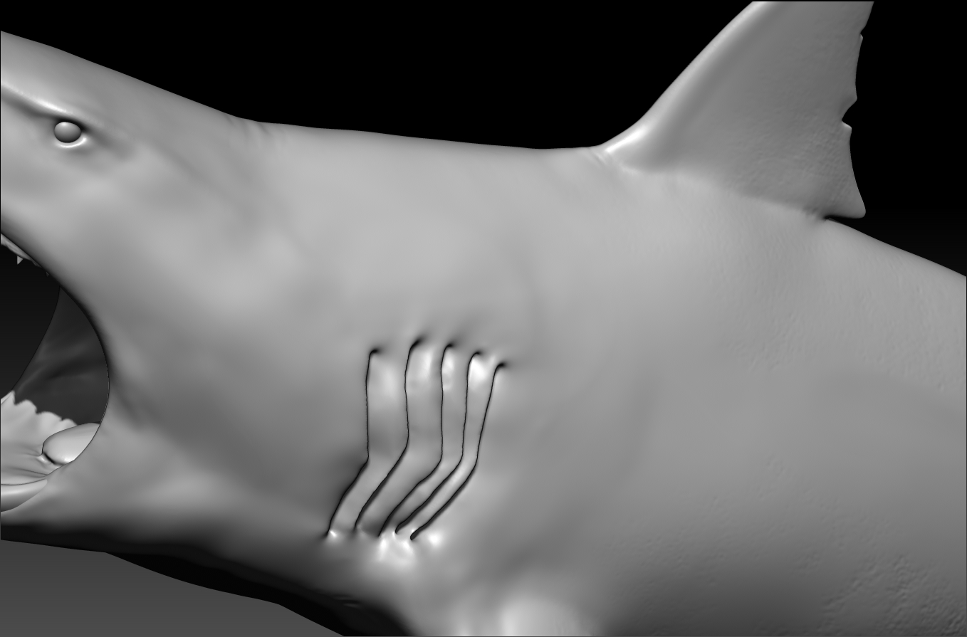 Great White Shark - ZBrushCentral