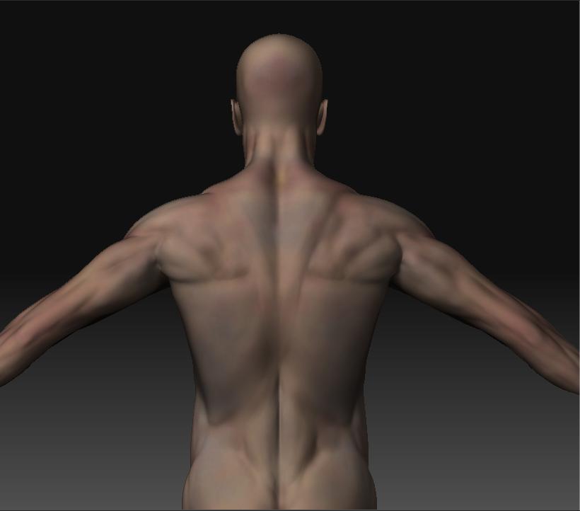 Skin_test2.JPG