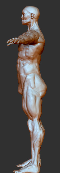 side1.jpg