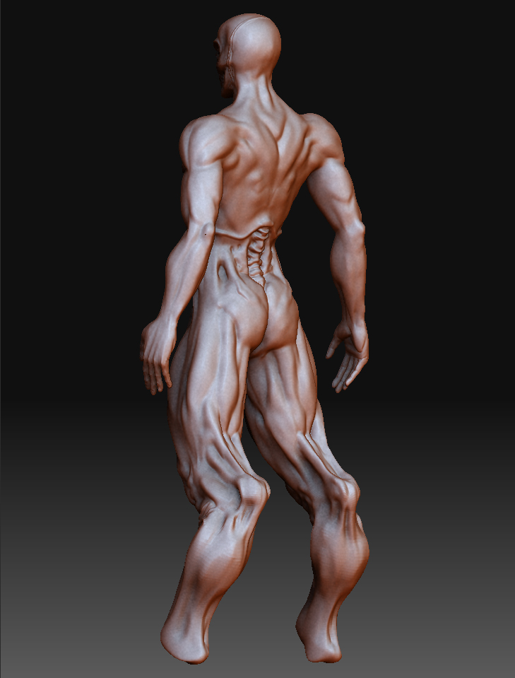 back.jpg
