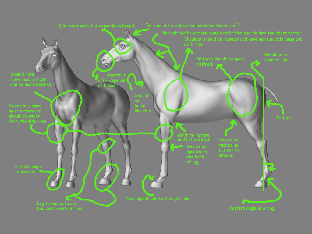 horse01.jpg