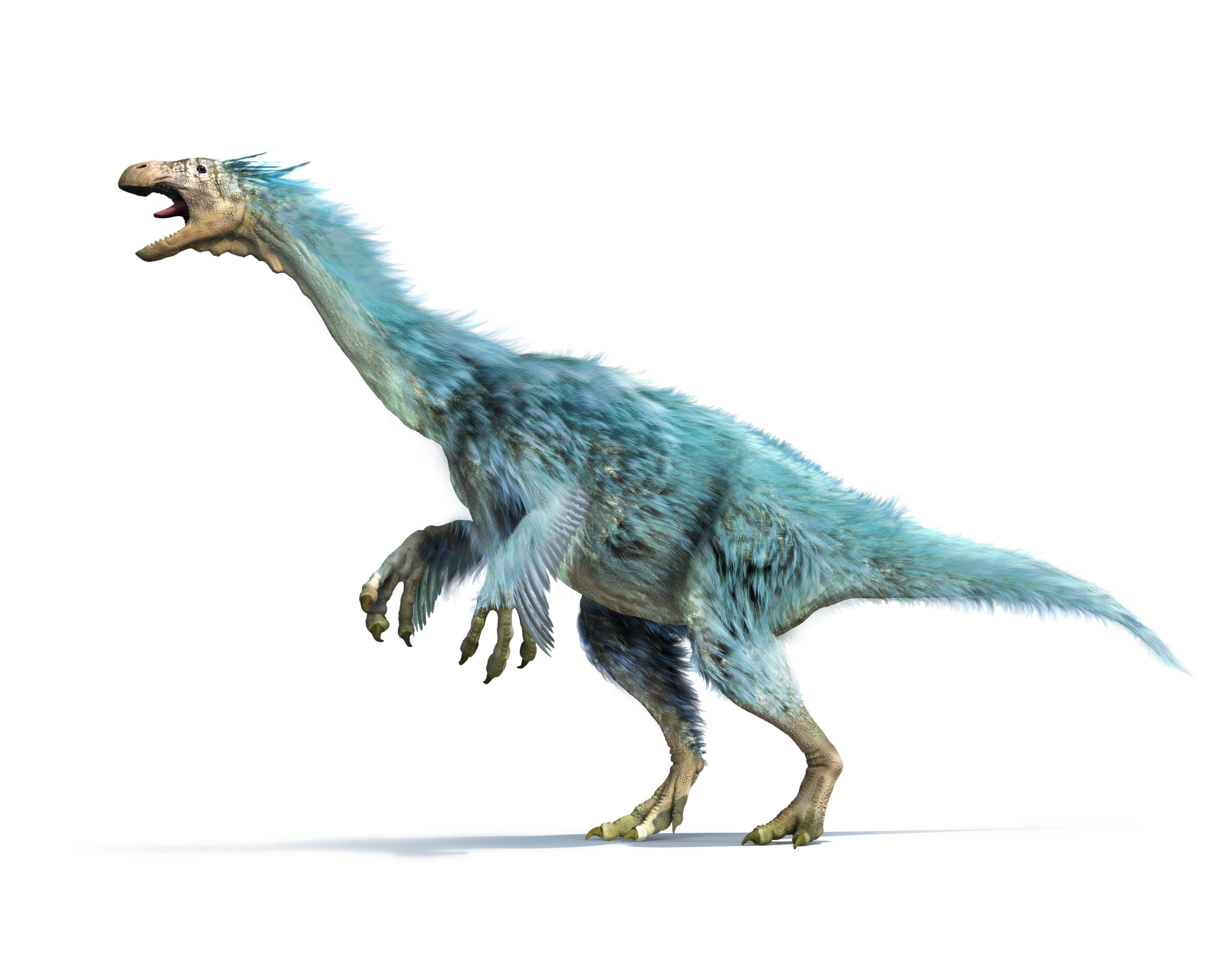 Alxasaurus_HiRes.jpg