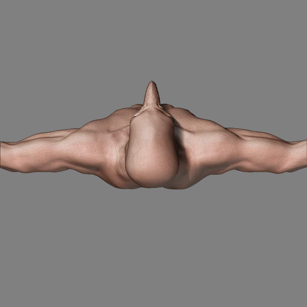 fixing torso04.jpg