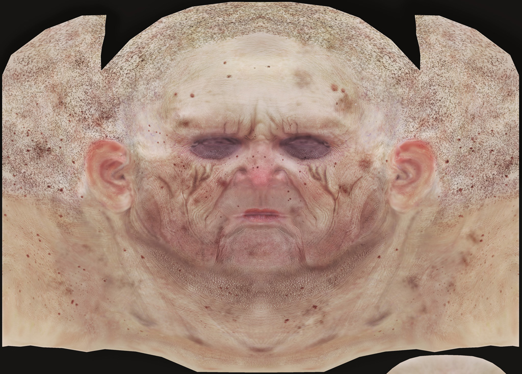 Head_OverallMap.jpg