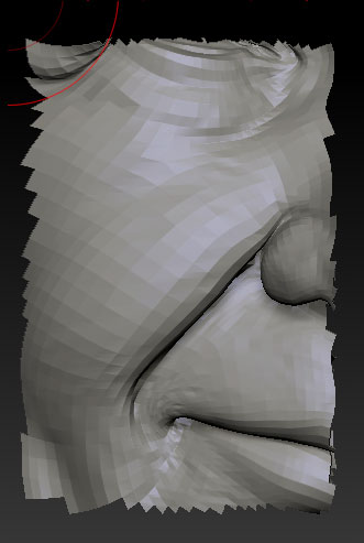 file2.jpg