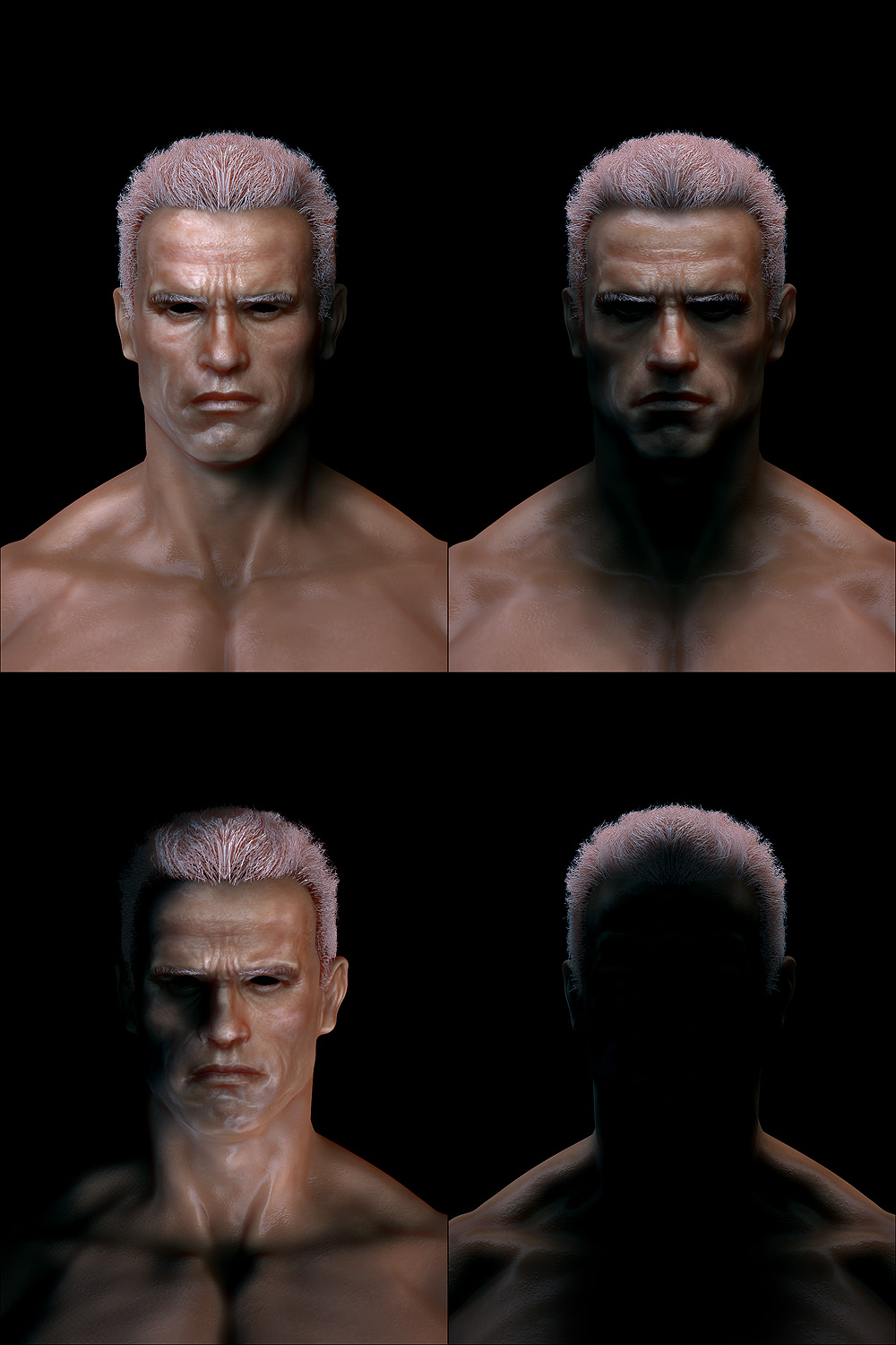 material5.jpg