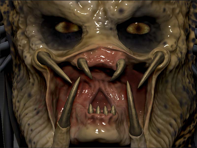 closeup.jpg