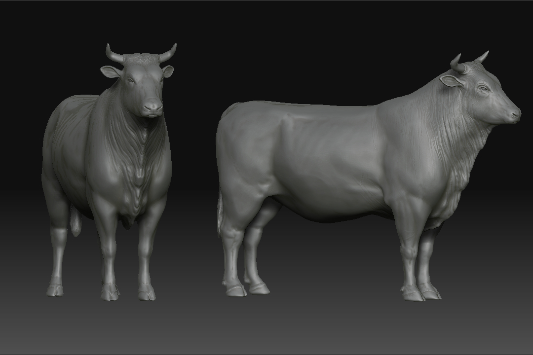ox_02.jpg