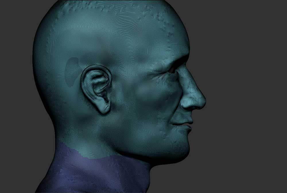 portrait-mesh.jpg