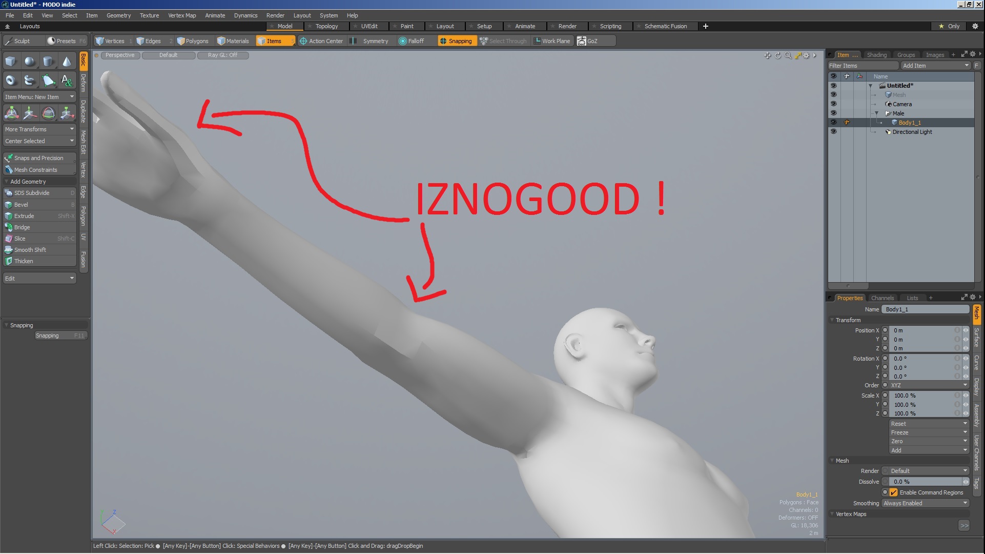 zBrush_To_Modo_Bug.jpg