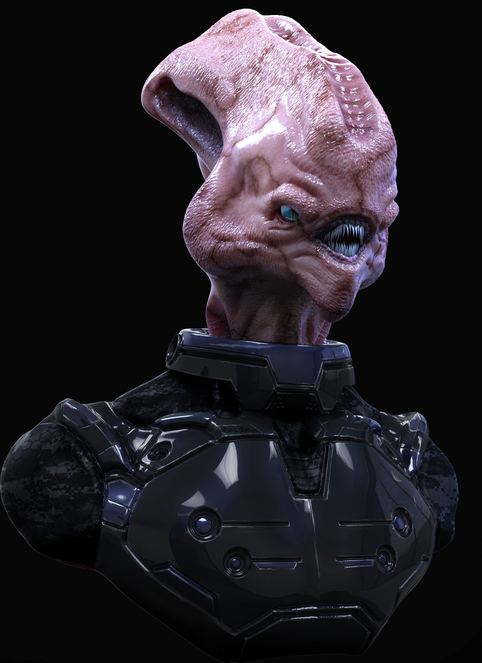 compo_talys_wip_wo.jpg