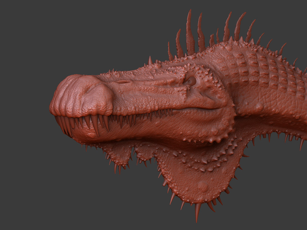 Spino05.jpg