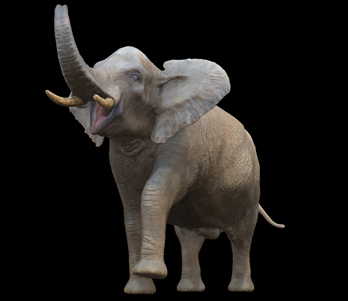 elephant_01.jpg