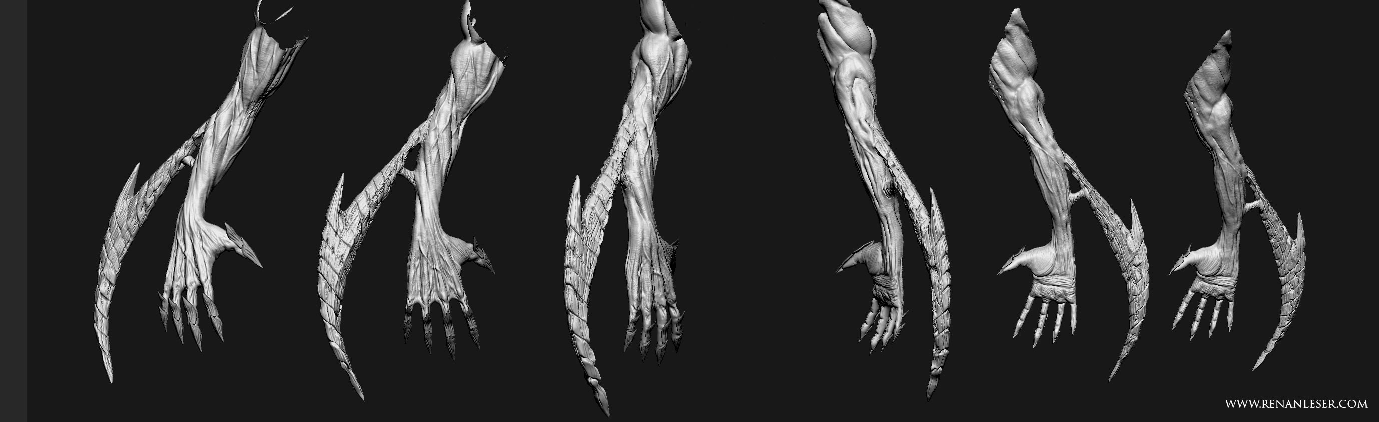 ARM_DETAILS.jpg