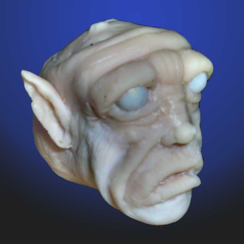 Head-stage-3.jpg