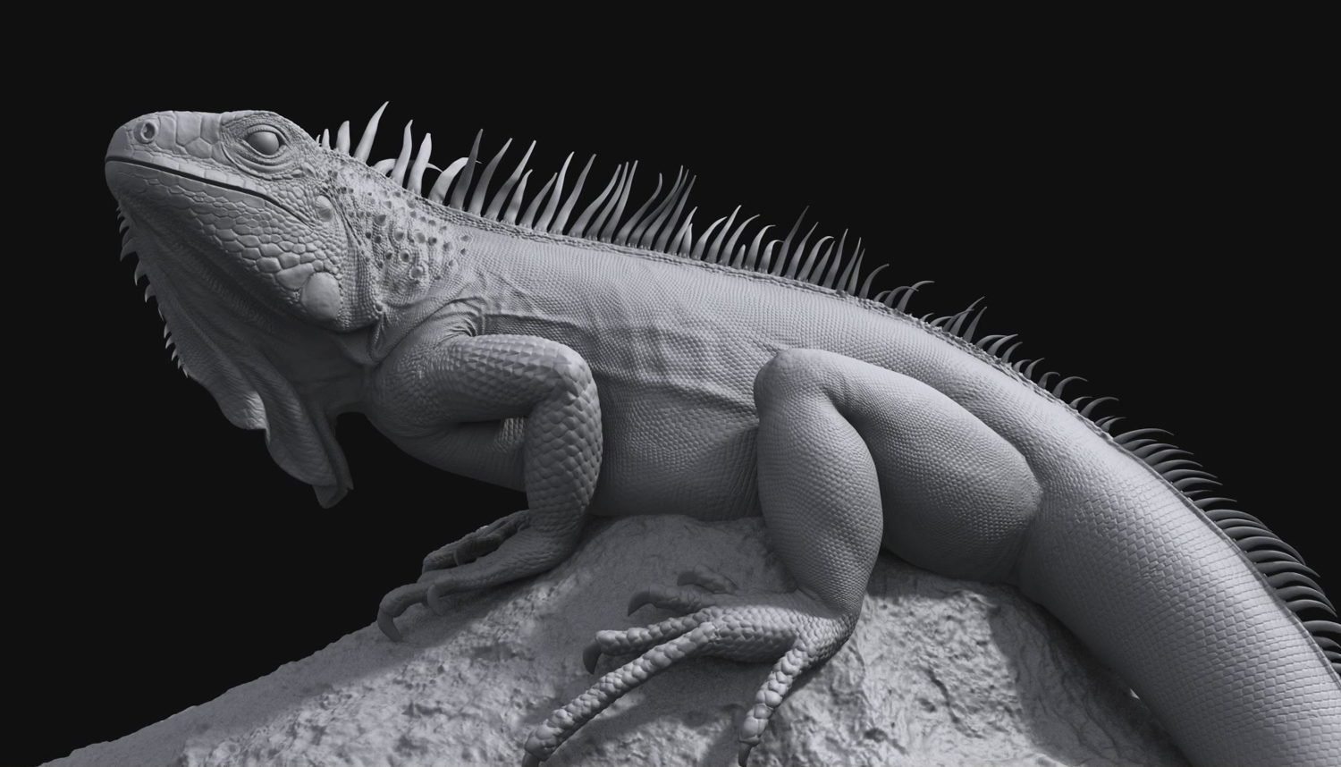 iguana05.JPG