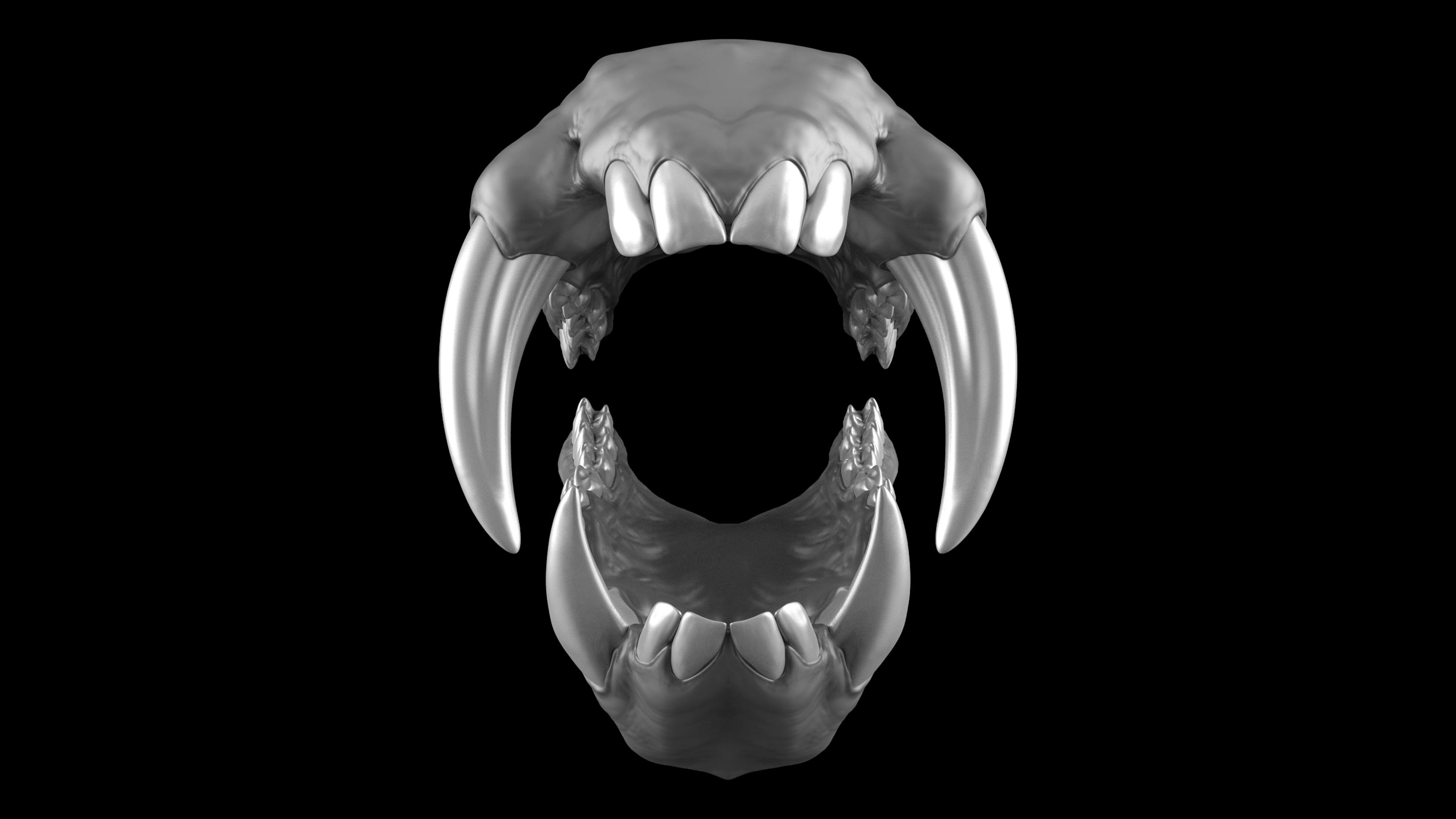 Teeth_Kits_Master_Views_Mandrill_05.jpg