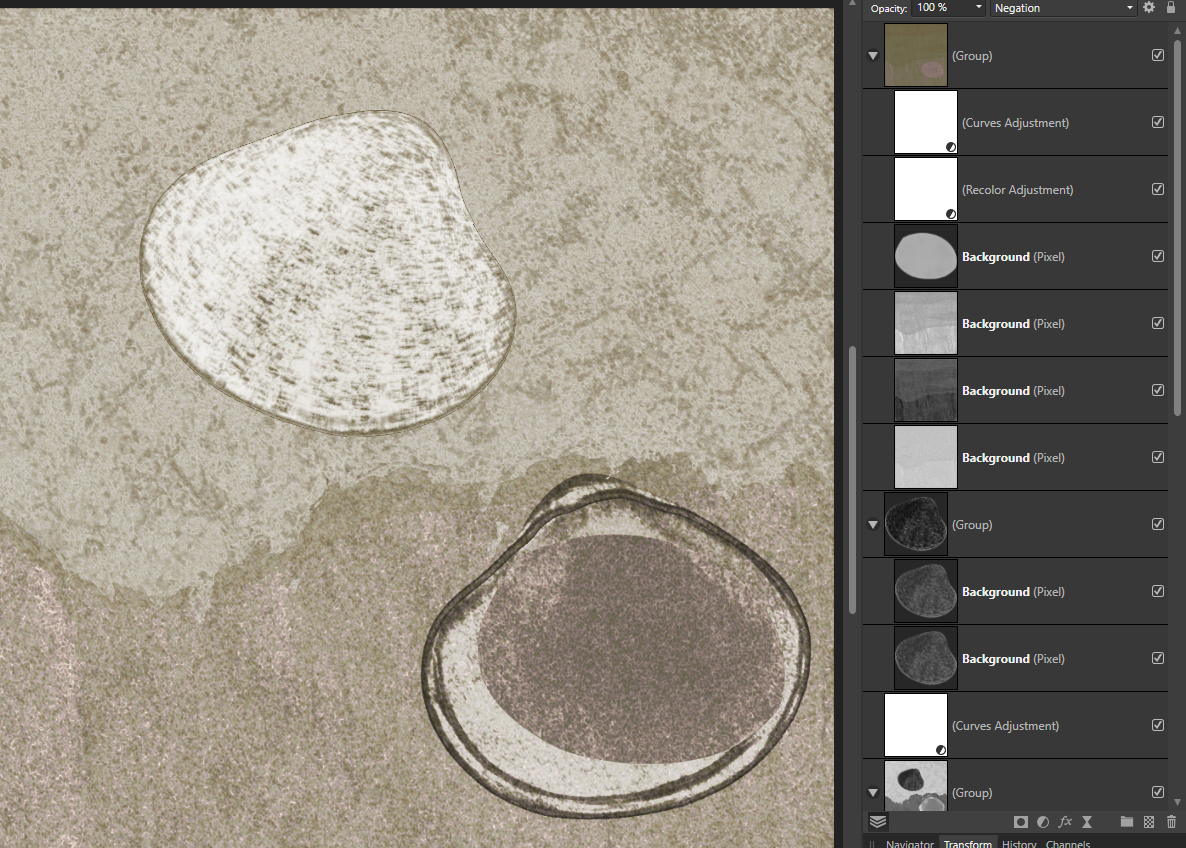 ss_shell_composite
