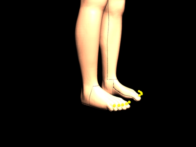 displacement showing borders.jpeg