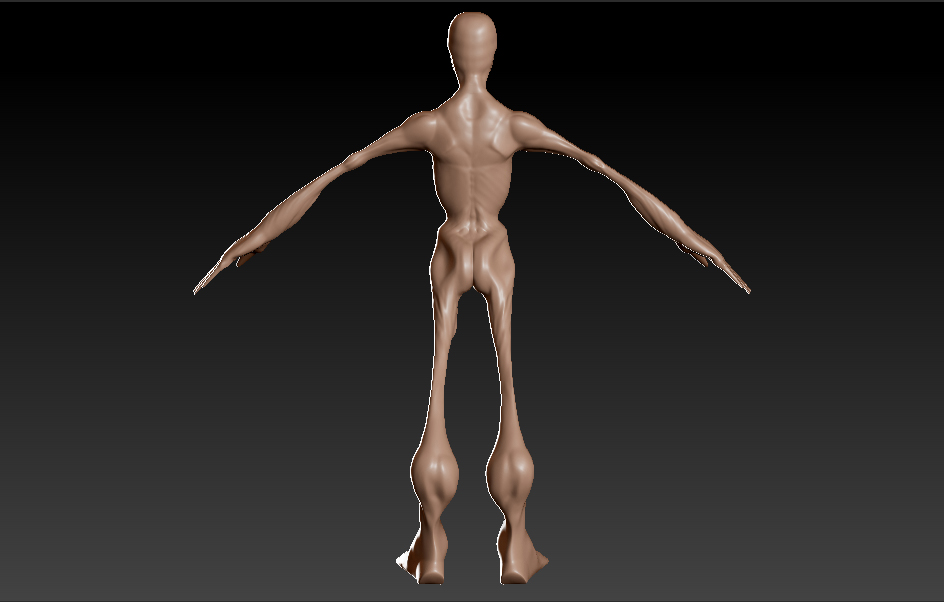 back.jpg