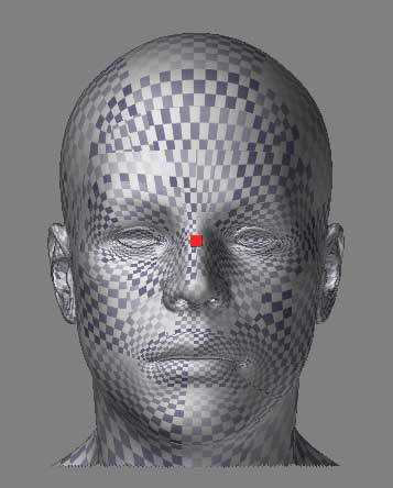 P2P_head.jpg