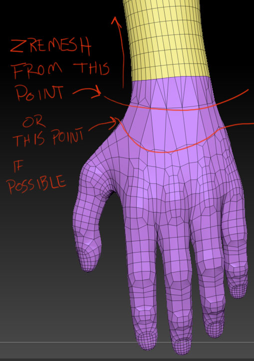hand-ZR4emesh