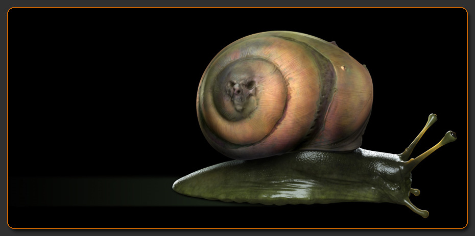 Snail.jpg